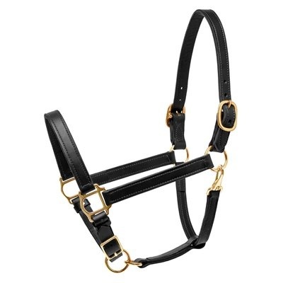 perri_leather_halter_140hbl